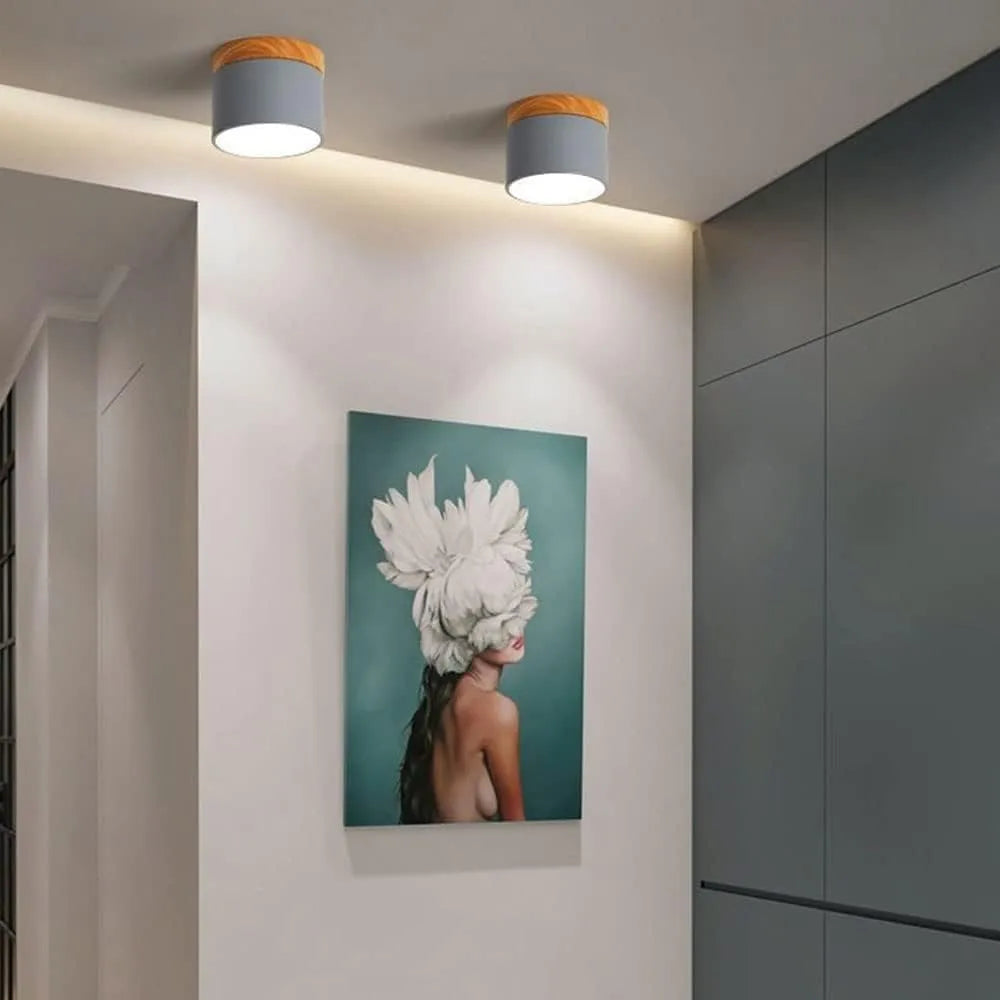 Luminária de Teto Plafon Led Cinza